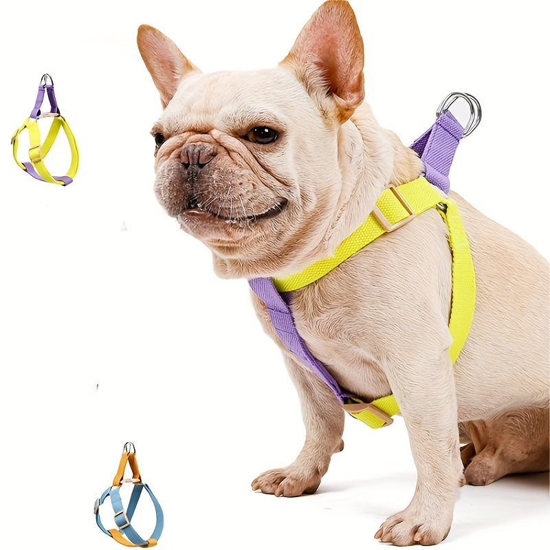 Rainbow Colorblock Pet Harness And Leash Set - A Must-Have for Your Pet!