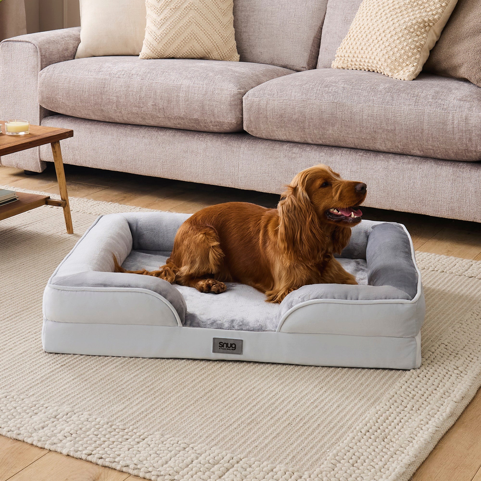 Comfortable Pet Beds For Better Rest