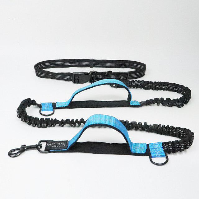 Discover the Perfect Fit for Your Furry Friend