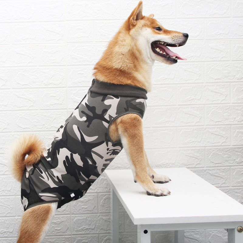 Fashionable Multicolor Pet Clothing With Unique Style