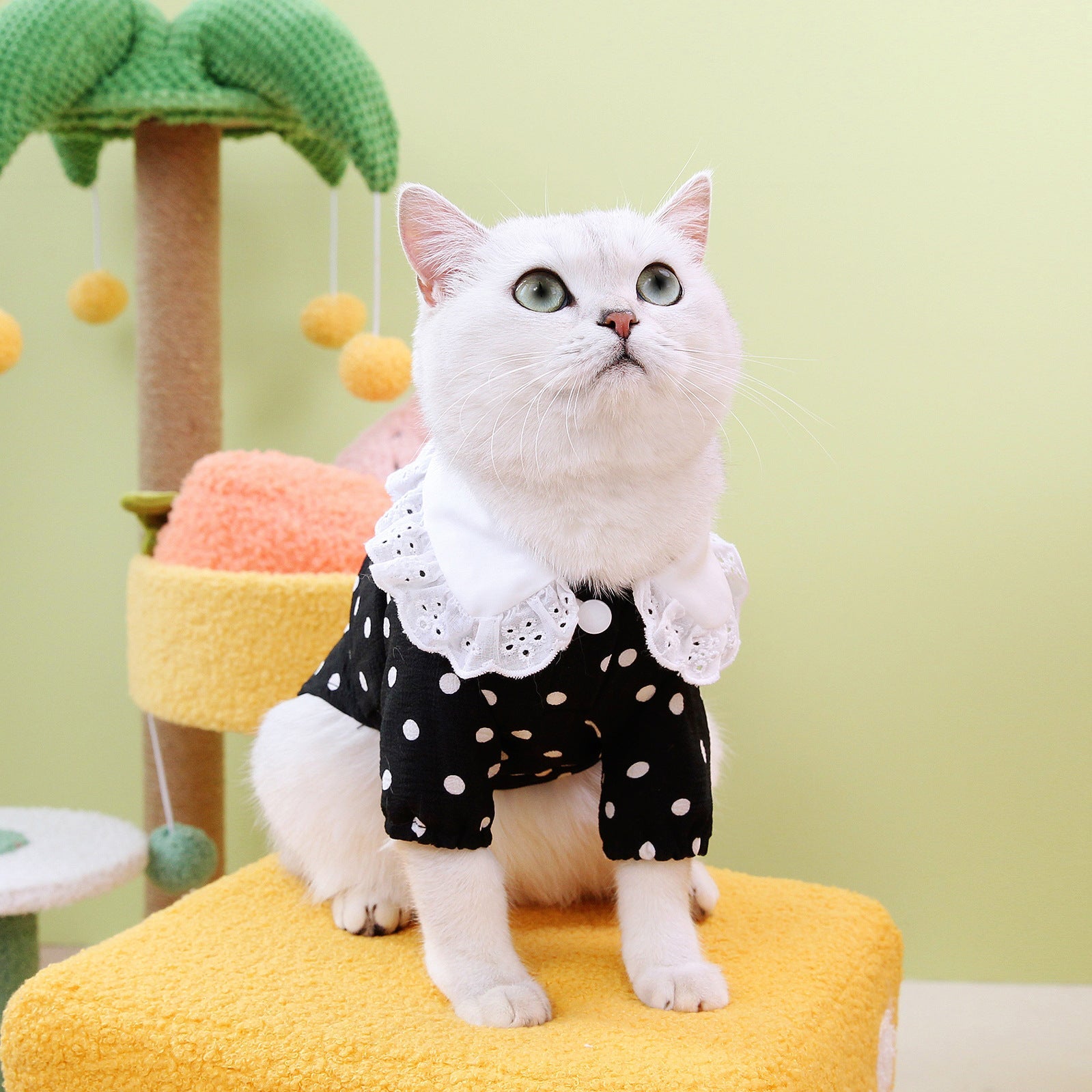 Discover the Ultimate Comfort with Our Blue Casual Pet T Shirt Clothing