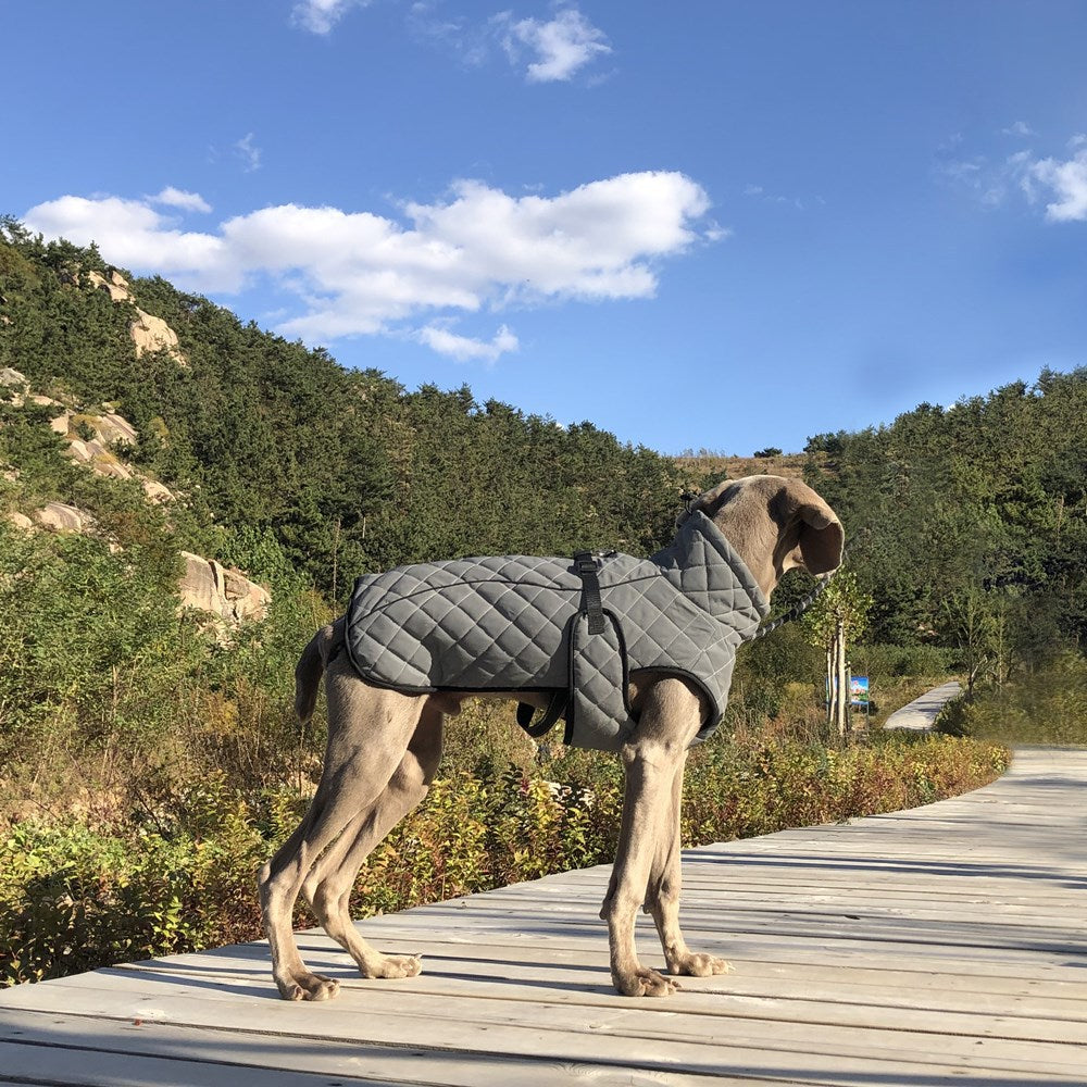 Why Your Pet Needs the Full Body Reflective Tactical Pet Jacket